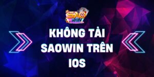 Saowin 0 29